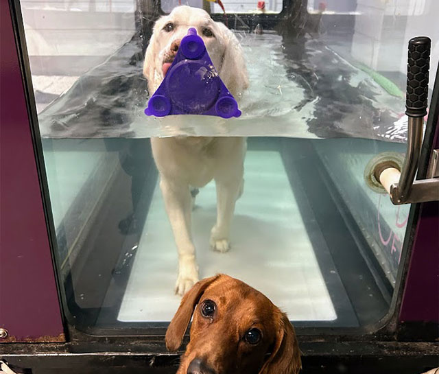 hidroterapia- centro fra