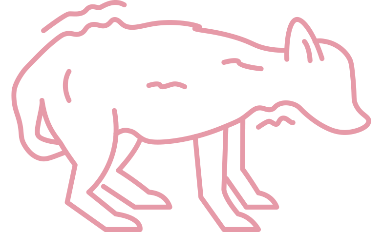 consulta de comportamento