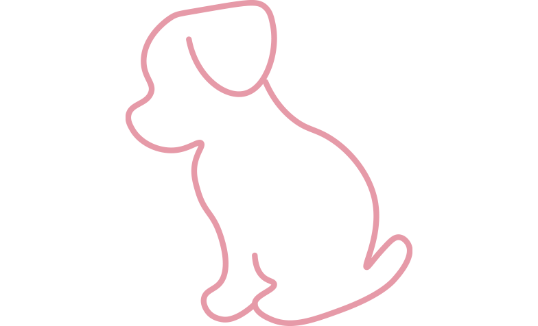 consulta pediátrica animal