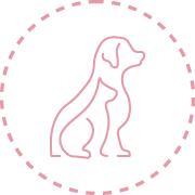 consultas veterinária geral