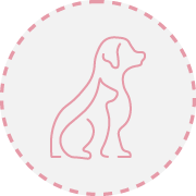 consultas veterinária geral