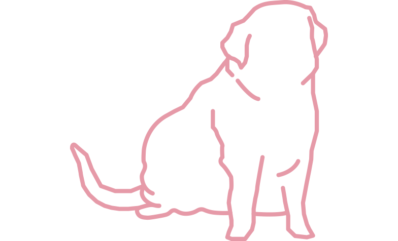 Consulta de Nutrição