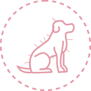 acupuntura Fisiatria e Reabilitação Animal