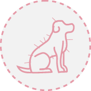 acupuntura Fisiatria e Reabilitação Animal