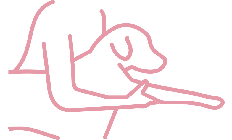 cinesioterapia animal