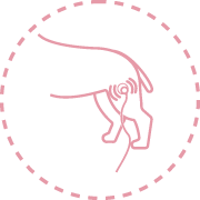 diatermia Fisiatria e Reabilitação Animal