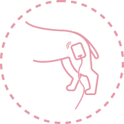 eletroestimulação Fisiatria e Reabilitação Animal