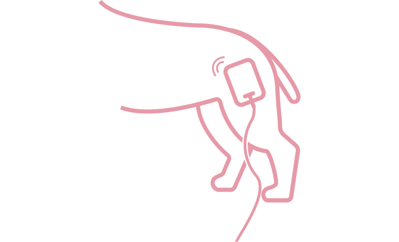 Estimulação Elétrica Animal