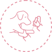 laserterapia Fisiatria e Reabilitação Animal