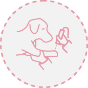 laserterapia Fisiatria e Reabilitação Animal