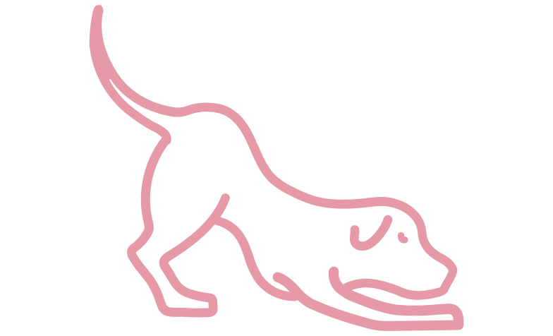 massagens veterinárias