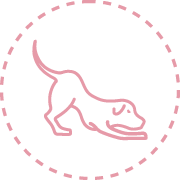 massagens Fisiatria e Reabilitação Animal