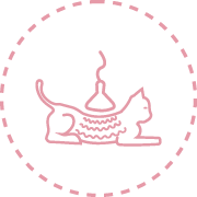 infra vermelhos Fisiatria e Reabilitação Animal