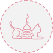 infra vermelhos Fisiatria e Reabilitação Animal