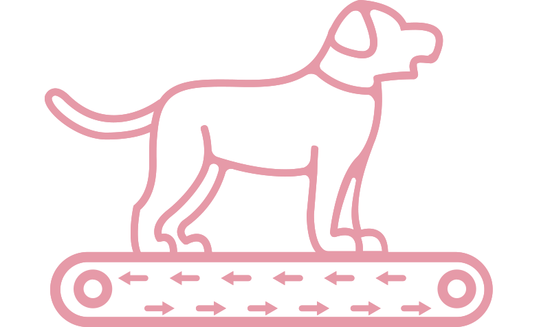 passadeira terrestre veterinária