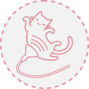 ultrassons Fisiatria e Reabilitação Animal